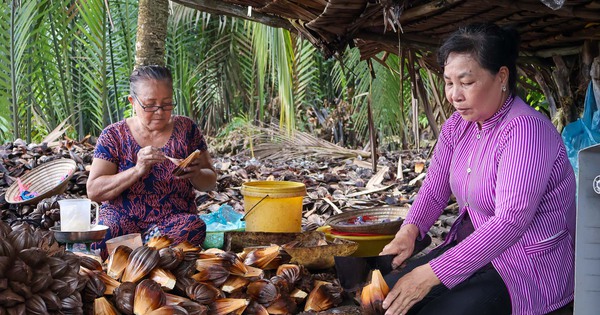 dua nuoc 1723887955347263138872 75 0 965 1700 crop 1723888058486976721572