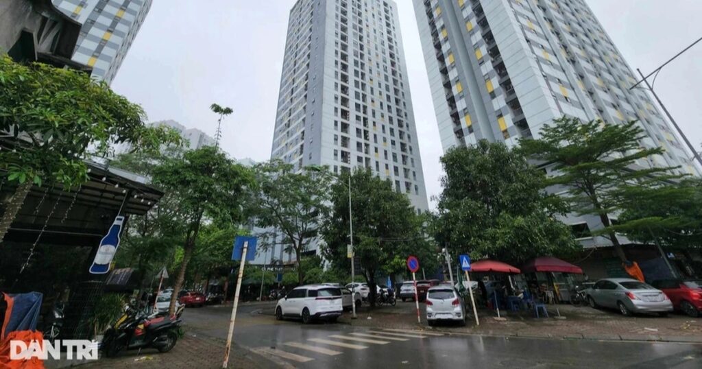 duong tam avatar crop 1723086946583