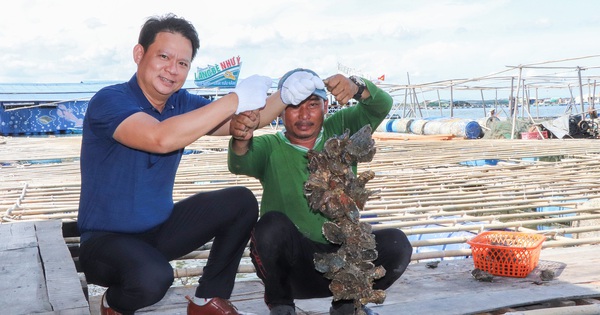 images19646564m1 1724584649972 172458465064125817248 246 0 1293 2000 crop 17245848590961495545461