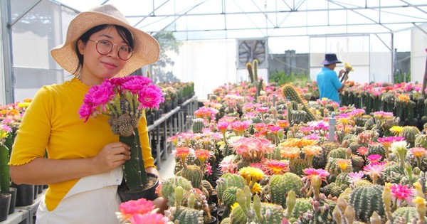 img2717 1722861702705486417662 261 54 1573 2560 crop 17228632533221540863126