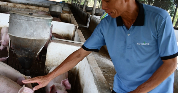 lamvangiang 7 1724565488043867118237 0 853 1707 2560 crop 17245674965891306317406