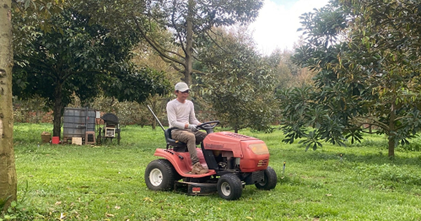 nc3b4ng20dc3a2n20gie1bb8fi20xc3a320ngc3a2n20nghc4a9a177 1723972262629 17239722632291227715025 0 0 262 500 crop 1723972738948841198827