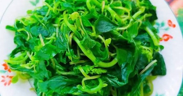 Loại rau dễ trồng bán đầy chợ Việt, tốt cho đường huyết, người bệnh tiểu đường nên ăn để kéo dài tuổi thọ 1 nguoi benh tieu duong an rau den 17227005176561474930326 18 0 443 680 crop 17227009088451690267781