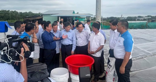 Nông dân Việt Nam xuất sắc 2024: Người mua cà rốt nhiều nhất tỉnh Hải Dương, người là nông dân Bến Tre xuất sắc 5 nguyen minh nhu 1725089786340742143439 245 0 810 1080 crop 17250899065611538037305