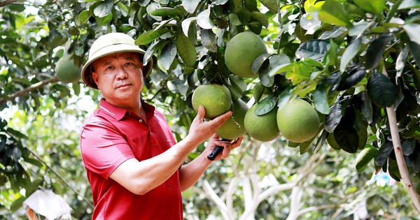 nong dan viet nam xuat sac 1 17244316923911647998833 229 0 1569 2560 crop 17244356144501926998426