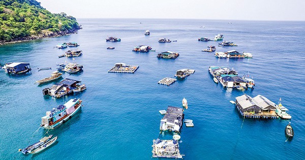Vùng biển nổi tiếng ở Kiên Giang, dân đang giàu lên nhờ đóng lồng to nuôi cá bự 3 nuoi ca bien trong long nhua o kien giang 17243422930041856354141 34 0 453 800 crop 17243424610102058119816