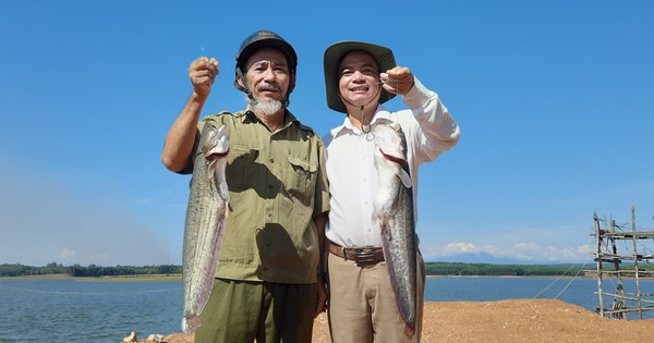 nuoi ca leo o quang tri nong dan thu nhap cao 4 17231026233302021372463 145 142 1026 1824 crop 17231026427712138524572