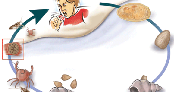 san phoi 1723376135592 17233761359641243244079 0 0 300 480 crop 17233762337881999160081.gif