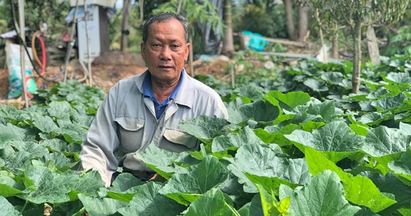 t7a20240813214747 1723977496166 17239774966651010940164 0 0 670 1280 crop 17239777194261456669212