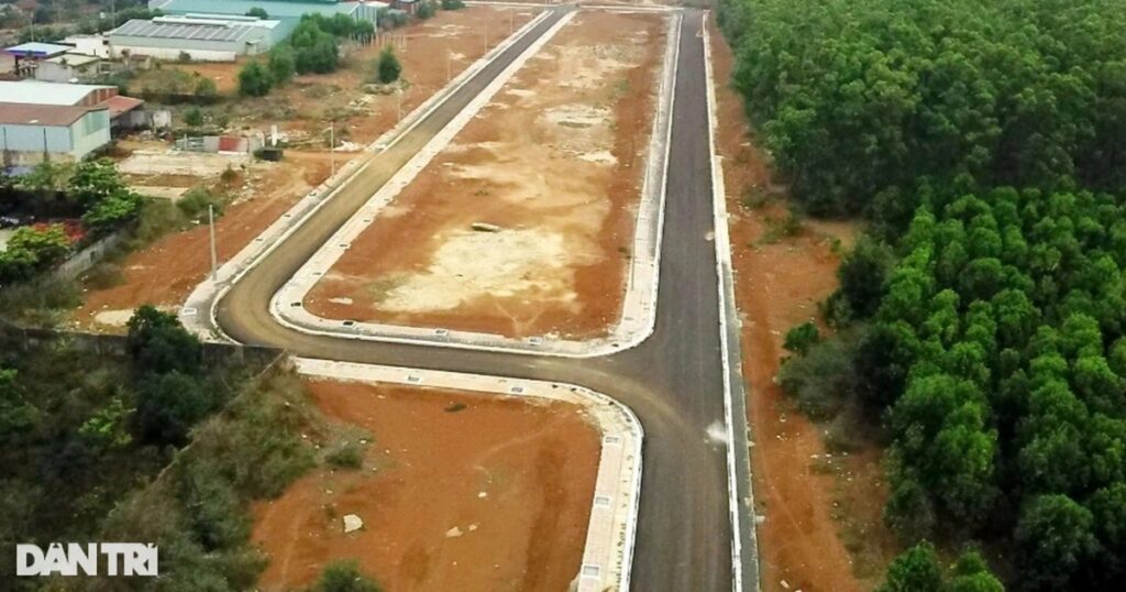 Điểm mới của Luật Đất đai: Cấm phân biệt đối xử trong quản lý, sử dụng đất 1 thanh tra chinh phu chi ra sai pham trong quan ly rung va dat dai o gia lai 3 edited crop 1723952456155