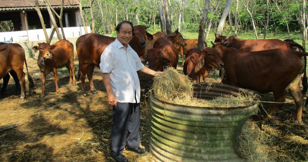 111 1725075835022699606146 414 0 1754 2560 crop 17250772399751865021588