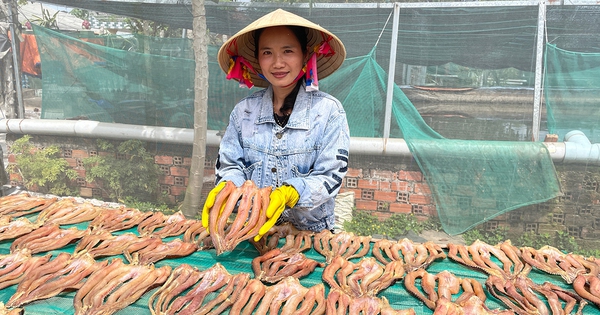 Một loại cá nạc thịt, giàu protein, nuôi dày đặc ở An Giang, nông dân giàu lên nhờ làm theo cách này 1 41 1725363112807 17253631129251663339142 0 0 628 1200 crop 17253634876071225133301