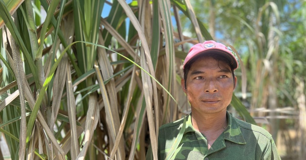 4316ee5c bdae 4e7b b3da 90d0d47db52a 17275123130551573602022 0 0 1048 2000 crop 17275130635941614929427