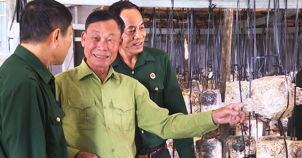 anh 2 9 1725861331136268372795 0 165 1080 1893 crop 1725861402779218771457