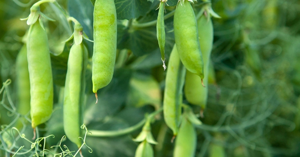 avatar1726712486156 17267124867791158552659