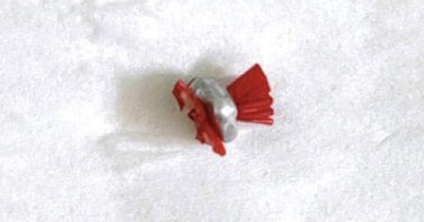 avatar1726883563632 17268835638231094047962 0 119 520 951 crop 17268835785072039634752