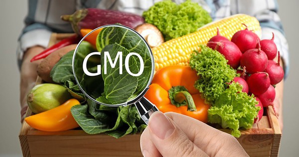 avatar1727014808749 1727014809349329679607