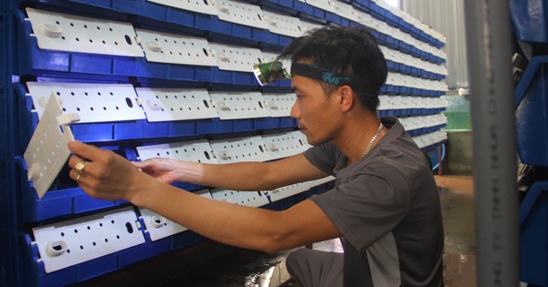 cua bien 7 17254233761602011006044 153 0 1493 2560 crop 17254255834321345100420