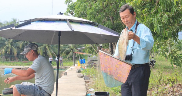 Đào ao thả 2 loại cá này vào, cho thiên hạ vô câu giải trí, ai ngờ ông nông dân Khánh Hòa kiếm bộn tiền 5 dien tho 3 1727428391228313686839 379 0 1707 2536 crop 1727428503412549937853