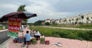 img0839 edited crop crop 1726044414099