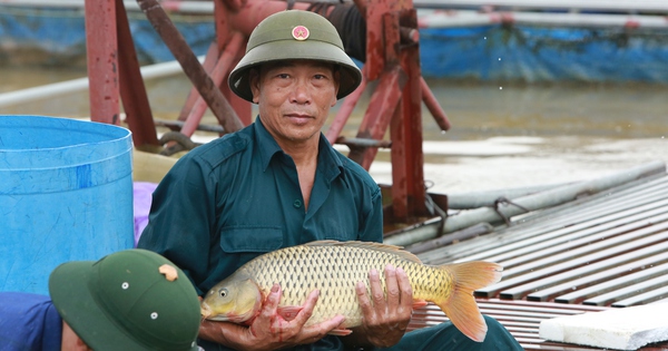 nong dan viet nam xuat sac 2024 den tu bac ninh vu van chien 1727281121063747031561 294 0 1634 2560 crop 1727282137854696764304