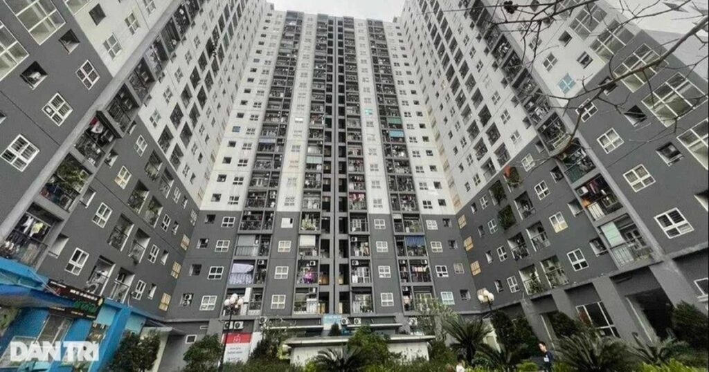 noxh 1723086805559 crop crop 1725438492892