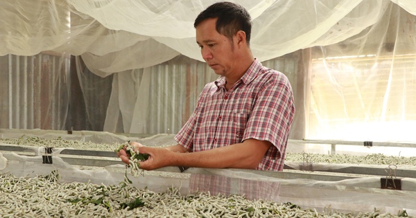 nuoi tam 3 17271843100531011763403 34 0 1374 2560 crop 1727185282565771037344