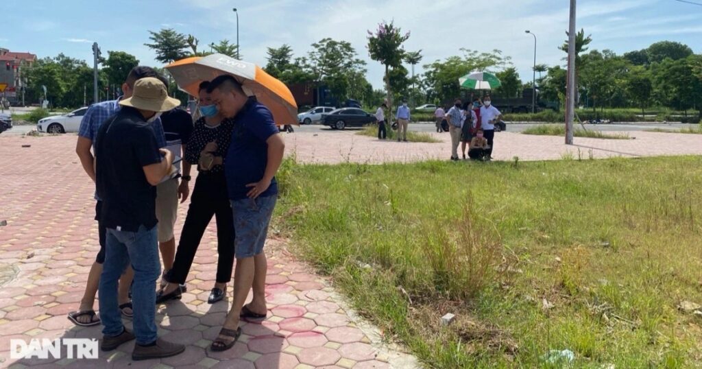 photo2024 09 12 16 crop 1727295862621