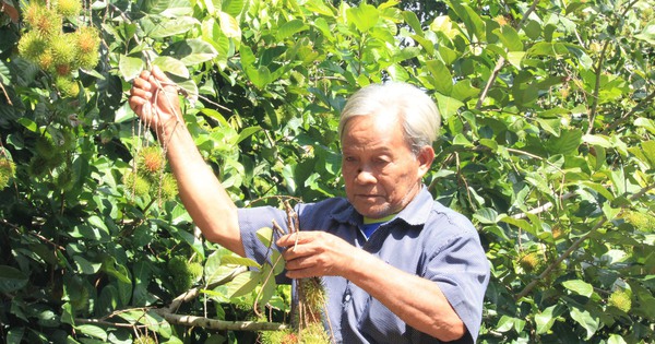 xa son binh 1 1727080983138147779634 171 0 1511 2560 crop 17270810664491753316669