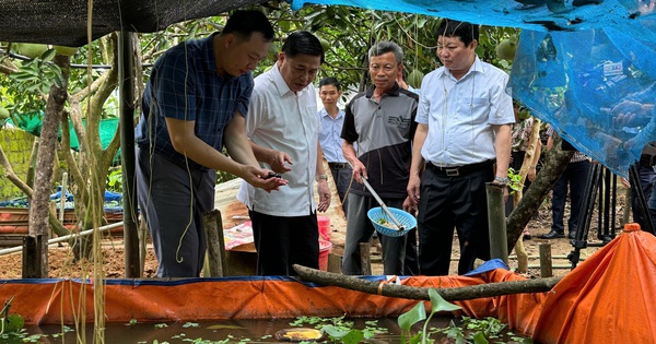 1 1729213059425140445045 359 0 1699 2560 crop 17292132023231952245506