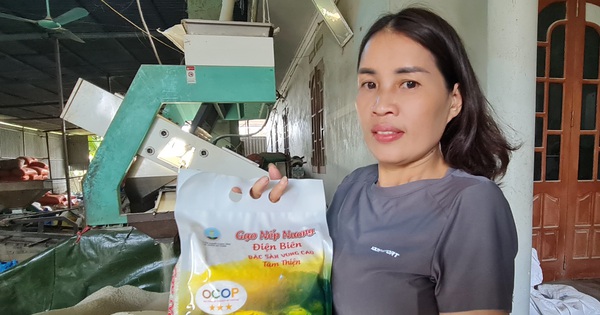 Đây là loại gạo đặc sản ở Điện Biên, hễ ai nhìn thấy là muốn mua về nấu cơm ngon 9 20240924 091951 17279543573451215366744 0 0 1047 2000 crop 1727954448198545966847