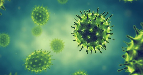 Những điều cần biết về virus cúm A 1 avatar1728123771947 17281237726121851958913