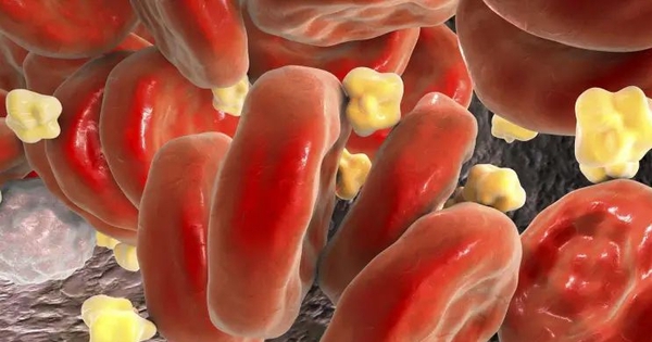 avatar1728550216355 1728550216627445429174