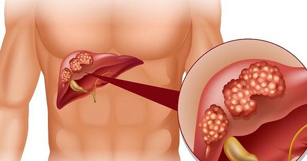 avatar1729610935505 1729610936088898492338