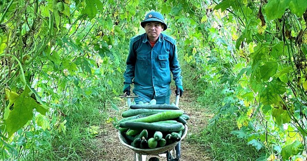 bi xanh trai vu 2 17289736088681885130063 177 0 1150 1858 crop 17289741513932089826809