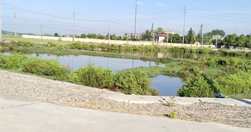 Vụ em trai phó chủ tịch huyện trúng đấu giá 23 lô đất: Đã đấu giá lại 1 can canh23 lo datem traipct huyenquynh luu6 crop 1689206746132