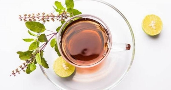 Loại cây được ví ‘nữ hoàng thảo mộc’ dễ tìm ở chợ Việt, dùng pha trà lợi đủ đường, người bệnh tiểu đường nên dùng giúp hạ đường huyết 1 cay huong nhu2 17303487035452095454592 0 37 450 757 crop 17303496458941286822201