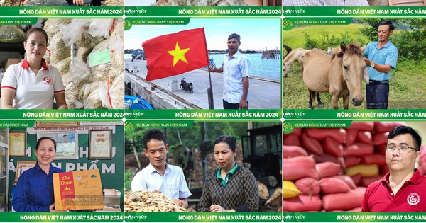 chan dung ndvnsx 17287378825451291288194 364 144 1303 1937 crop 172873790573797343960