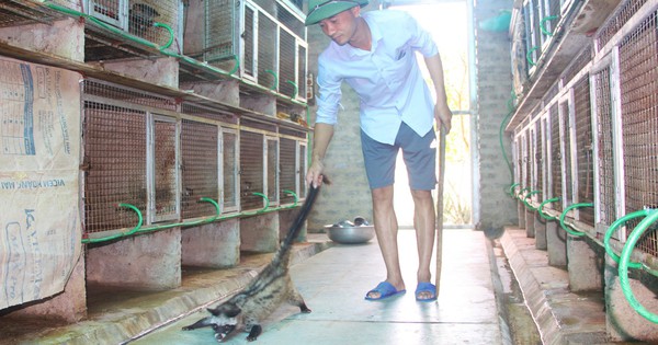 chon 3 1728640877637464890949 207 0 1547 2560 crop 17286416772231150841471