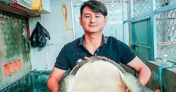 con cua dinh con ba ba nam bo sieu to khong lo nuoi o bac lieu ban loi tien ty 17277863269771994065124 81 0 500 800 crop 17277866110641959775923