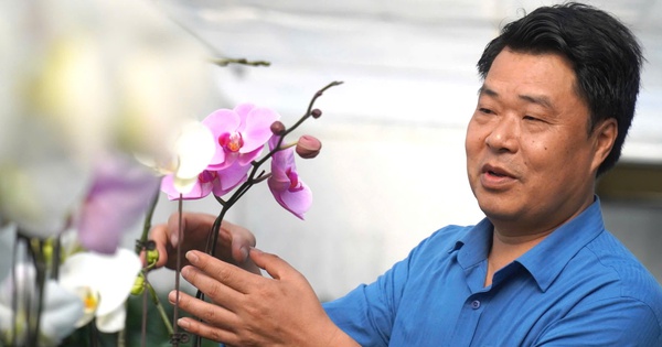 Một HTX ở Thanh Hóa cơ giới hóa, ứng dụng công nghệ cao, ruộng đẹp như phim, dân giàu lên 1 dong tien 10 17280751779021885731189 265 0 1605 2560 crop 172807548598979377113