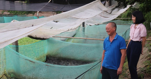 e1bb99t20gc3b3c20khu20nuc3b4i20e1babfch20nhc3a020anh20nguye1bb85n20duy20phc6b0e1bb9bc 1730028431444 17300284322011341699030 56 0 894 1600 crop 17300292457281861613712