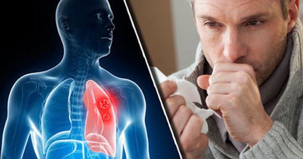 ho ra mau 17286061746741660318390 0 28 381 638 crop 1728606267987373113004