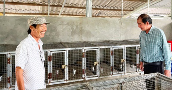 images2551916bvla24 1729355568196 17293555708131858607946 21 0 260 456 crop 1729355840644557667066