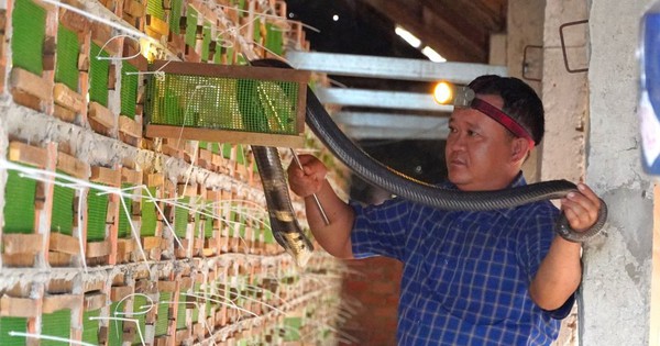 ran 1729412170056 17294121714941966098784 0 0 577 1102 crop 172941251843578554022