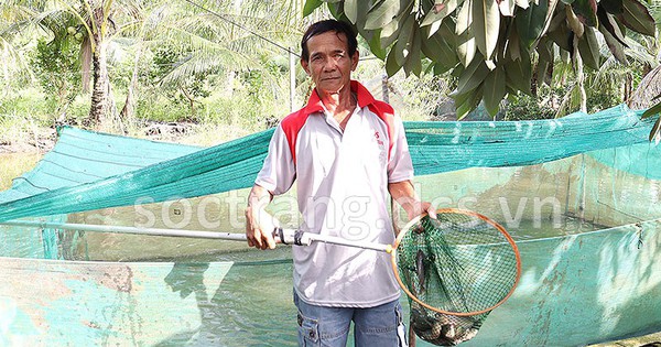 thu nhap tot nho ket hop 1728541970559 1728541971345880524939 77 0 496 800 crop 1728542236066696474816