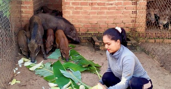 z550632626329166b21c72b85f885412579ae1d49b377220240617213735 1728982378252 17289823800491029665977 0 0 419 800 crop 1728982792133305998500