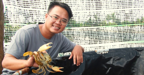 Thấy cái ao tôm bỏ hoang, 9X Ninh Thuận "liều" thả nuôi con động vật này, ai ngờ lại trúng 13 z58591901066170966b2c36c27e691f454d87b5da32a55 17280527446141693968821 139 0 1209 2044 crop 17280533425161465898495