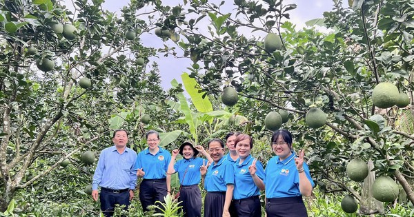 Một huyện ở TP HCM có hơn 6.000 nông dân sản xuất, kinh doanh giỏi/năm, có nhiều tỷ phú 4 4637273778706480052046261084355090027725079n 17304364366632012589429 0 0 941 1795 crop 1730436664852159550092