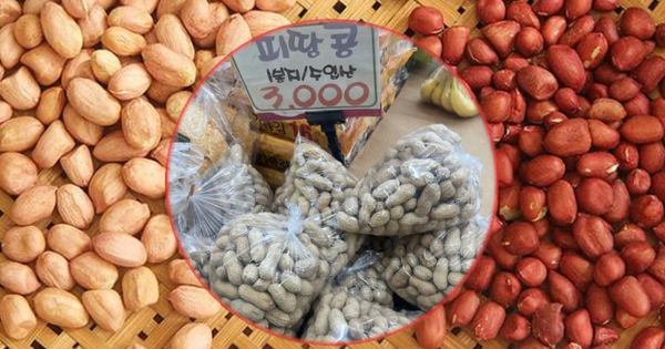 avatar1731685541504 17316855428691542275314